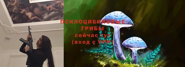 твердый Балахна